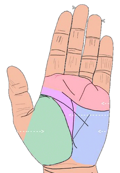 Paume analysée par l'IA